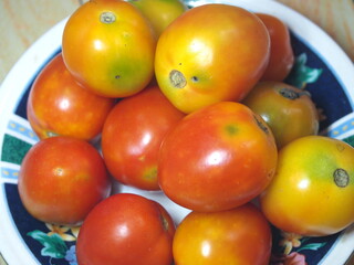Close-up of fresh half ripe tomatoes on a melamine plate