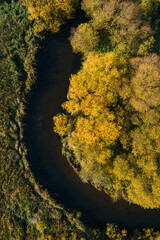 wild river and autumn gold trees