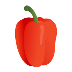 Red pepper isolated vector, sweet paprika vegetable spice