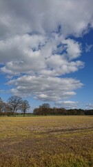 Meadow in early spring with cloud formations in the sky  - Schwanheimer Wiese in Frankfurt am Main im fr&uuml;hen Fr&uuml;hling mit Wolkenformation