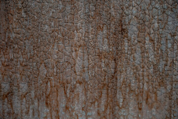 Stucco texture background wall. Painted decorative wall.