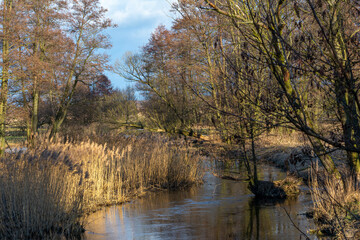 Fototapeta premium Early spring on a small river in central Poland.