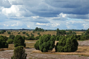Lüneburger Heide