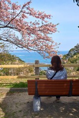 海の見える桜咲くベンチ　官軍塚　勝浦市