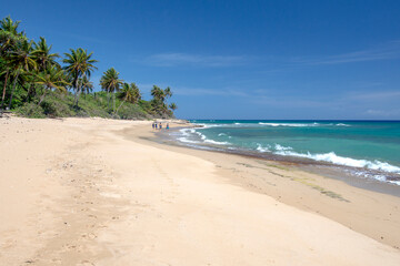 Tropical beach with palm trees and crystal clear water at Perla Marina beach, Cabarete, Dominican...