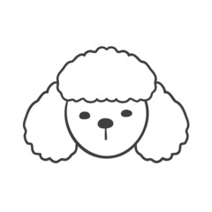 Hand drawn lines. The face of an adorable Poodle puppy.
