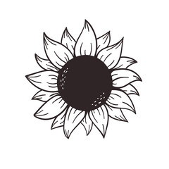 blooming yellow sunflowers full of sunflower seeds inside for decorating welcome cards