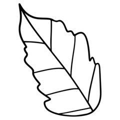 Obraz premium leaf hand drawn and Spring outline design illustration for web, wedsite, application, presentation, Graphics design, branding, etc.