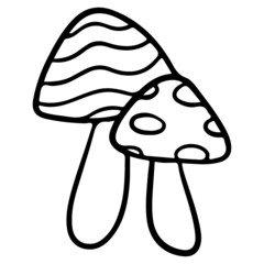 mushroom hand drawn outline design illustration for web, wedsite, application, presentation, Graphics design, branding, etc.