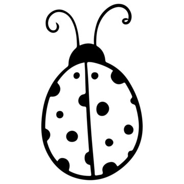 ladybug hand drawn outline design illustration for web, wedsite, application, presentation, Graphics design, branding, etc.