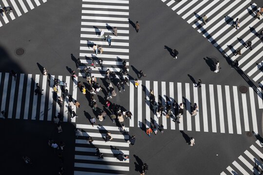 横断歩道 Images Browse 10 157 Stock Photos Vectors And Video Adobe Stock