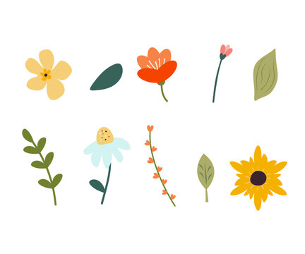 Flower collection with leaves, floral bouquets. Vector flowers. Spring art print with botanical elements. Folk style.