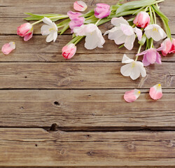beautiful tulips on old dark wooden background