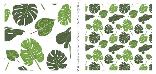 Print and background with tropical leaves.Pattern with tropical leaves.