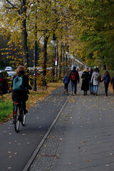 Biking in an urban environment