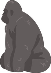 Huge Gorilla Monkey Species and Wild African Animal Living in Savannah