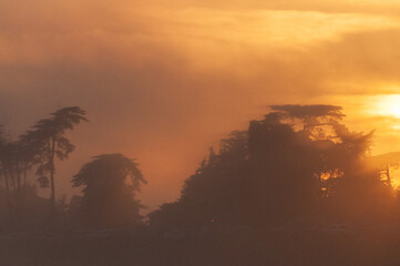 Dreamlike image of the setting sun breaking through a cloud layer and showing tree silhouttes.