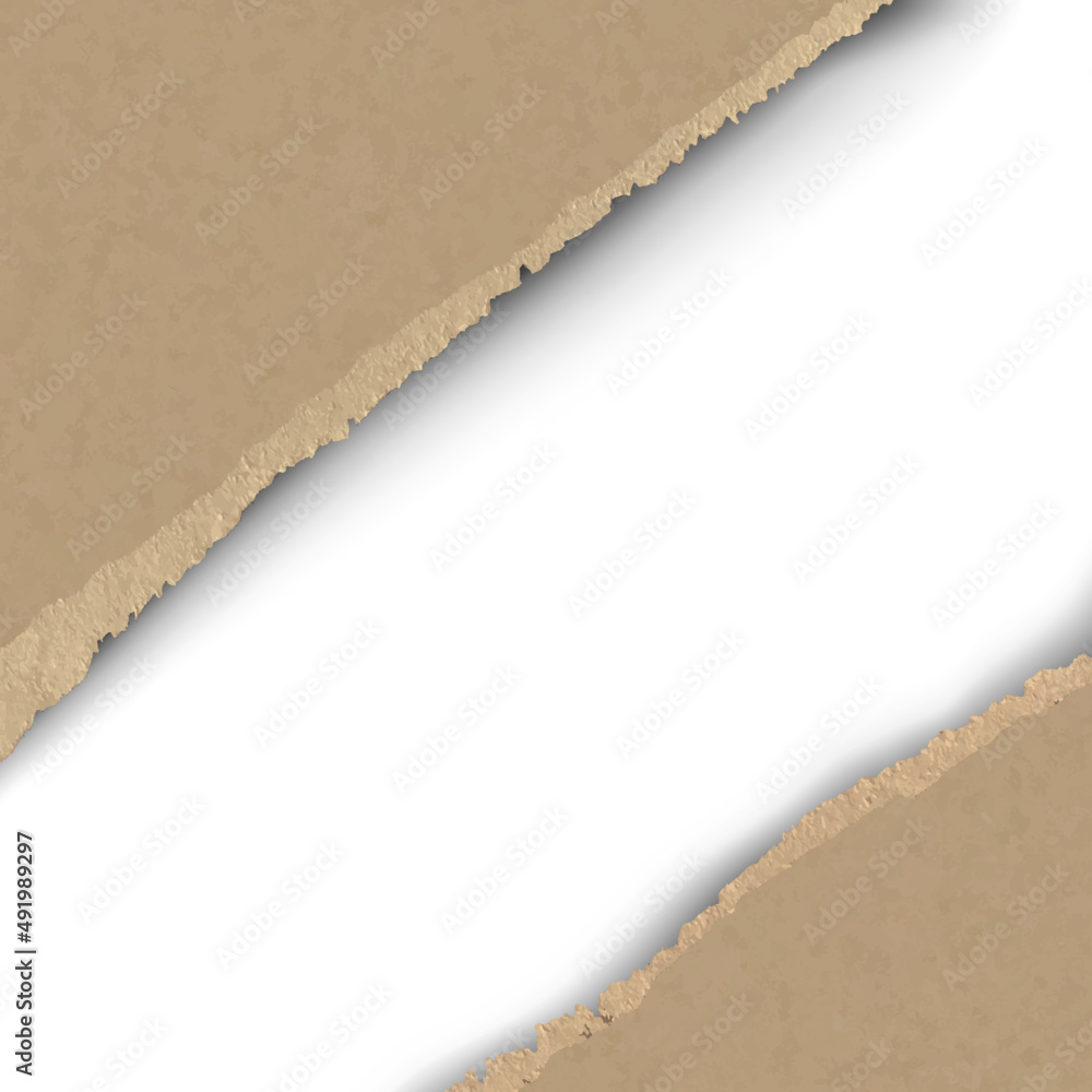 Wall mural torn paper frame. realistic vector torn paper hole with space for your design.