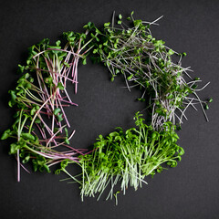 Micro greens sprouts of radish, amaranth, peas, beetroot on black background. Concept of superfood and healthy organic food.