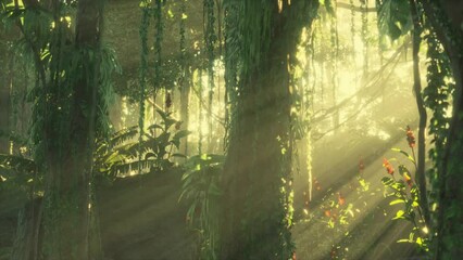 morning light in beautiful jungle garden