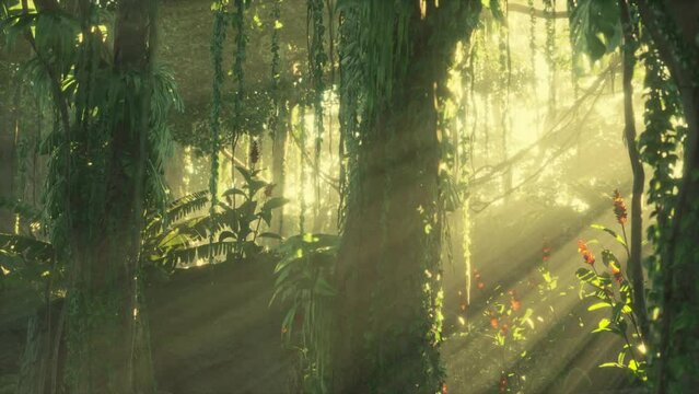 morning light in beautiful jungle garden