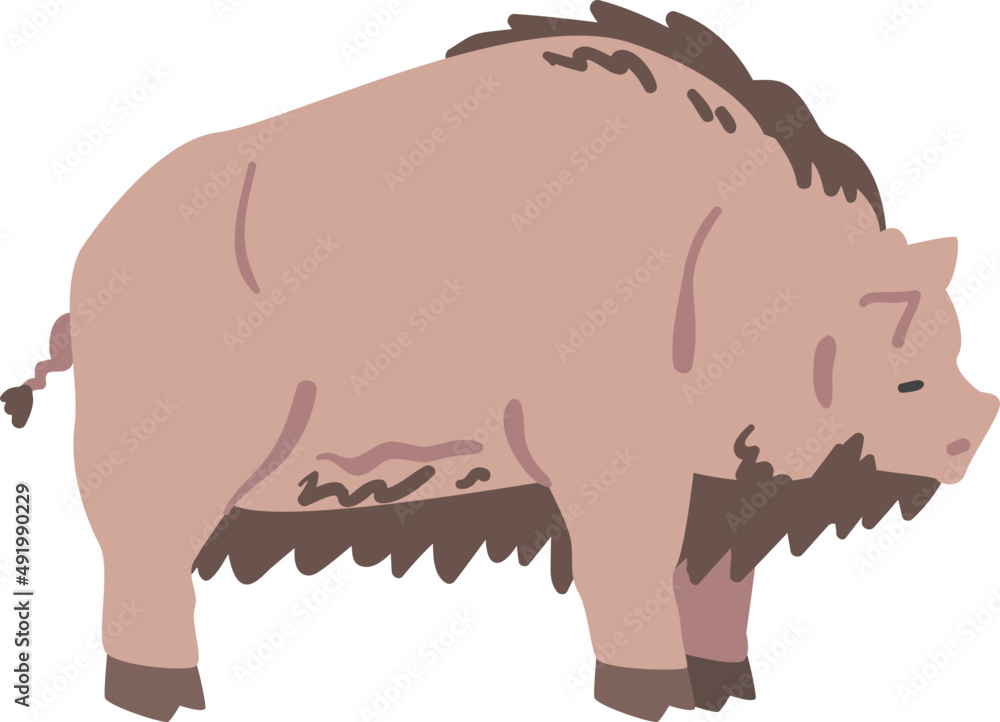 Wall mural Swine or Hog Hoofed Mammal as Farm Animal and Domestic Livestock Breeding