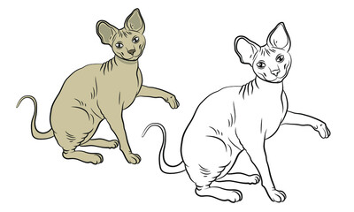 An image of a domestic cat, an illustration for coloring with paints and colored pencils.
Vector drawing, isolated. Color drawing, design.
