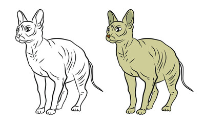 An image of a domestic cat, an illustration for coloring with paints and colored pencils.
Vector drawing, isolated. Color drawing, design.
