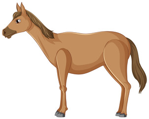 A pretty brown horse on white background