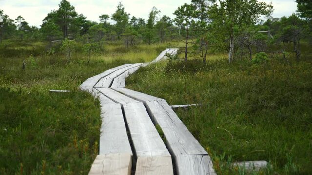 wooden walkway in the bogs of kemery park
