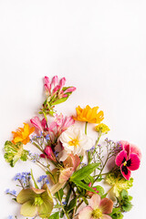spring flowers on the white background