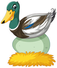 Duck with green head cartoon character