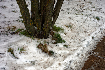 river bank on a cloudy winter day
