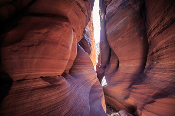 Buckskin Gulch Slot Canyon at Wire Pass Trail, Kanab, Utah