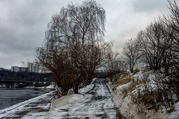 river bank on a cloudy winter day