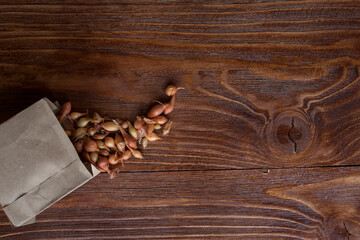 Obraz na płótnie Canvas onion sets, seedlings on a wooden table, planting seedlings