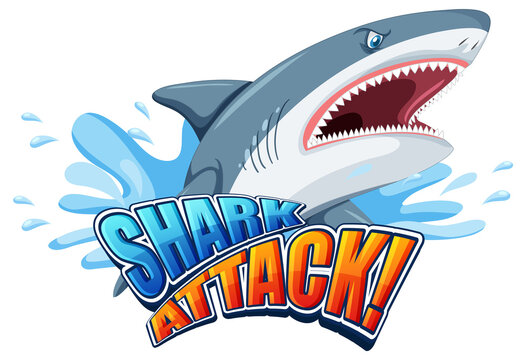Shark attack font logo with cartoon aggressive shark