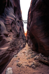 Displaced Ladder, Buckskin Gulch Slot Canyon at Wire Pass Trail, Kanab, Utah