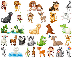 Set of animal cartoon character