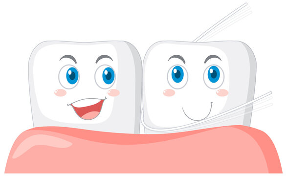 Happy teeth polishes the teeth using dental floss