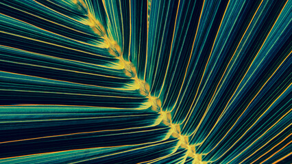 Obraz na płótnie Canvas blue tropical palm leaf background