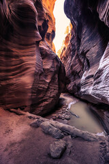 Pool of Water, Buckskin Gulch Slot Canyon at Wire Pass Trail, Kanab, Utah