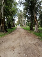 path in the park