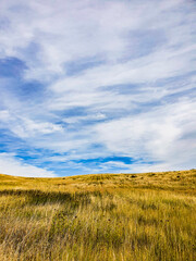 field and sky