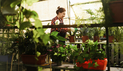 Hispanic woman working inside greenhouse garden - Nursery and spring concept - Focus on face