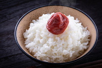 ごはんと梅干し