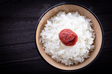 ごはんと梅干し