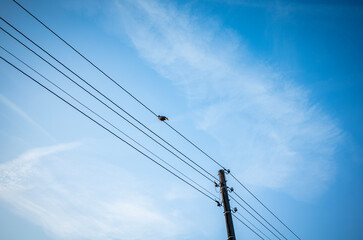 Fototapeta premium pylon against blue sky