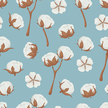 Seamless Pattern. A Pattern With An Image Of A Cotton Plant. Cotton Pattern For The Print. Vector Illustration