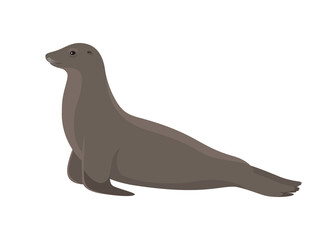 Vector sea lion